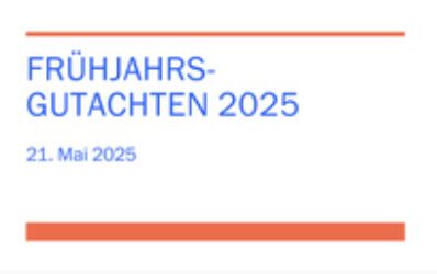 Sachverständigenrat Frühjahrsgutachten 2025:      ZWISCHEN HOFFEN UND BANGEN: KONJUNKTURSCHWÄCHE UND CHANCEN DES FINANZPAKETS, BÜROKRATISCHE HEMMNISSE UND STRUKTURWANDEL